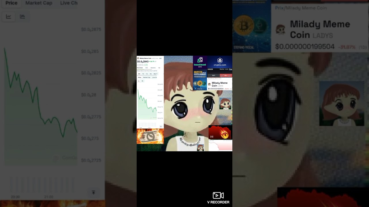 Bitcoin / Halving / Bull Run - VENDRE MILADY MEME COIN - Trading - effet de levier x50 - Profit✅