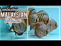 Unboxing malaysian discus  high quality discus