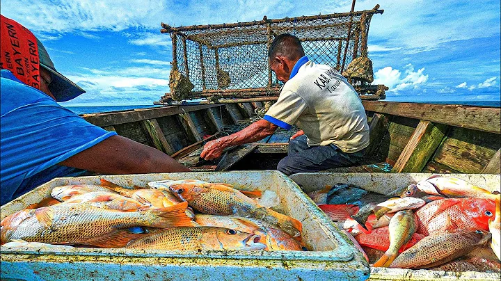 The process of catching fish in a trap | Fishing