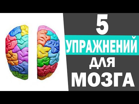 Развитие мозга ребенка. Развитие межполушарного взаимодействия