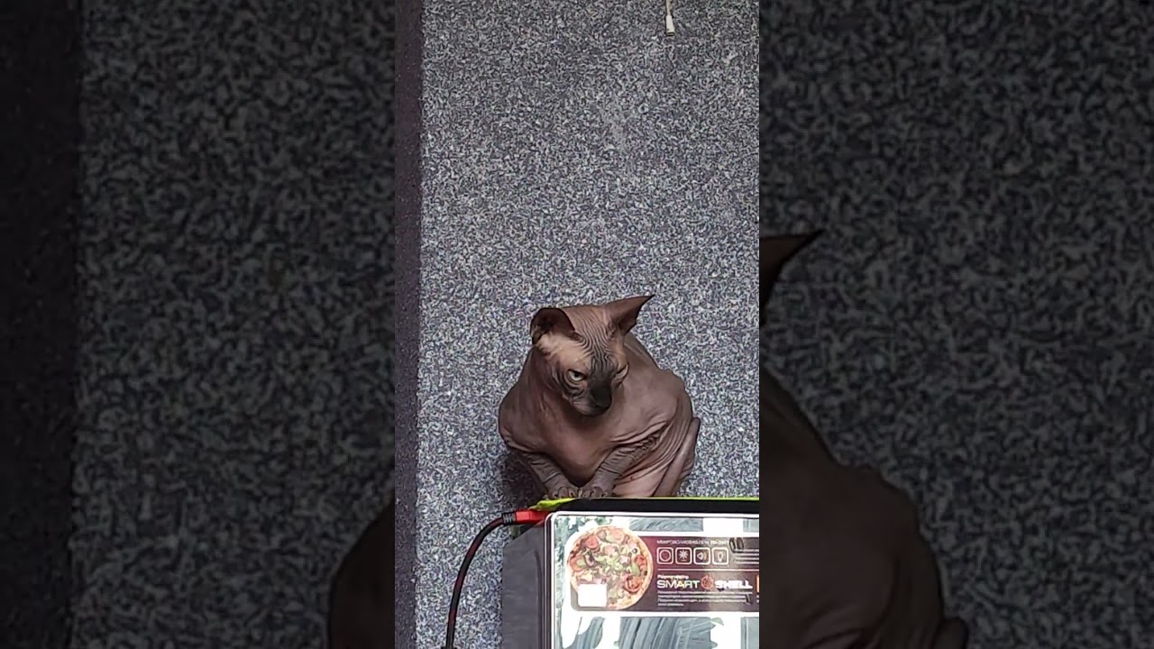 #спонсируется