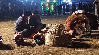 🔴Live jaran kepang WARINGI PUTRO SUKO BUDOYO|| Sukoharjo Kepanjen Malang Jatim