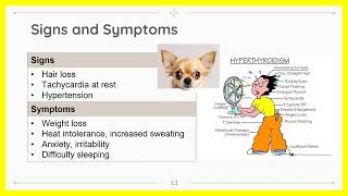 Concordia: Thyroid Smaga