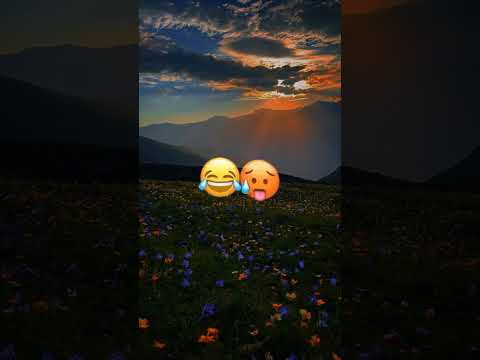شاب عجال