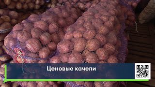 Где купить лучший картофель - и по цене, и по качеству?