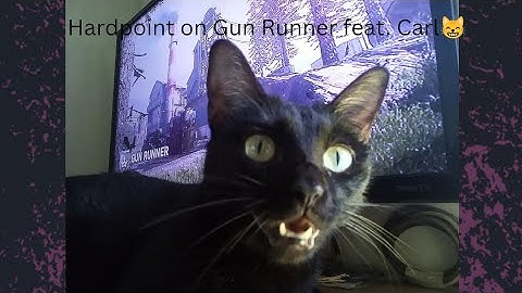 Hardpoint on Gun Runner | Call of Duty Modern Warfare