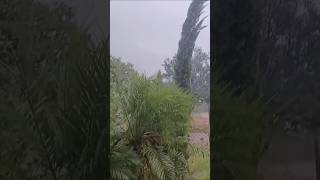 Derepente enpeoro el clima. con vientos muy fuertes y agua #entertainment #naturaleza #clima #viral