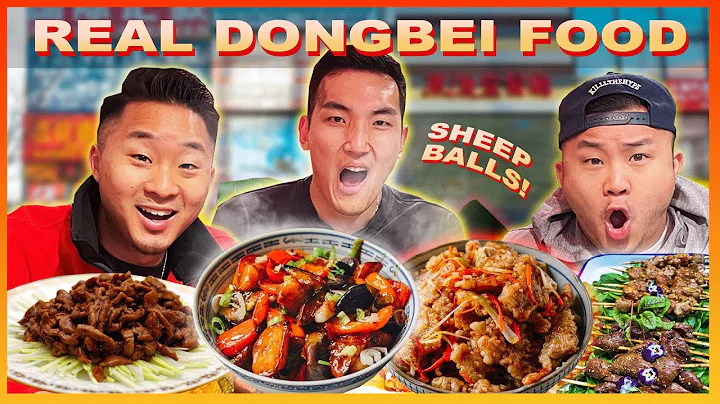 Epic NORTHEASTERN CHINESE Food Tour w/ BIG LOCAL Friend (Queens NY) - DayDayNews