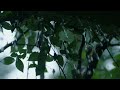 【おやすみピアノ＋雨の音】リラックス、マッサージ、睡眠、集中　途中広告なし2時間 || Relaxing Piano & Rain Sounds 🌧️