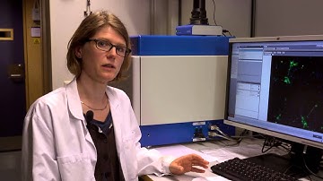 MultiPark - Technical Platforms