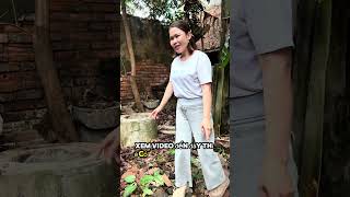 Giới thiệu cổ vật  #doco #baotonvanhoa #giaitri #khampha #VanHoaVietNam #xuhuong #viral