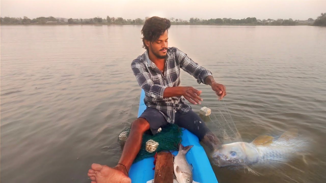 Amezing fishing ఇంకో కట్టుకు ఎన్ని చేపల పడ్డాయి 🐬