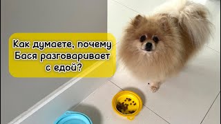 Как думаете, почему Бася разговаривает с едой?