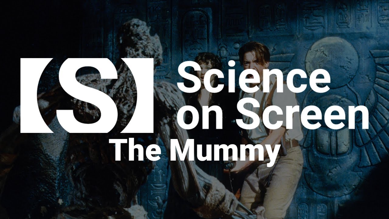 The Beetles Are Trying to Tell Us Something!: THE MUMMY