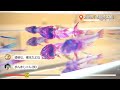 ガヤガヤ#89 新世界『透明標本展』①