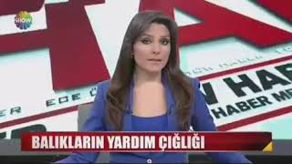 Killa Hakan Gluk Glukbalıklar