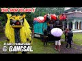 SHOW terjauh !! MAONG REMAS tampil di Bangsalsari FULL VIDEO | atraksi drumband can macanan