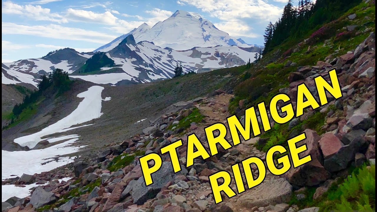 Hiking Ptarmigan Ridge, Mount Baker Washington