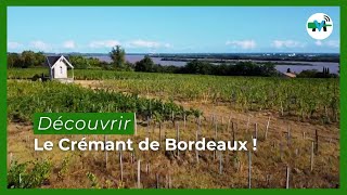 Crémant De Bordeaux, Les Bulles De Lavenir Du Vignoble Bordelais