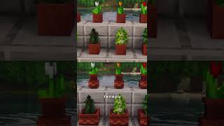 Обзор Ресурспака в Майнкрафт — Fresh Flower Pots! 🌱🏺