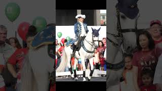 Day Of Portugal Dia De Portugal Lusitano Horse Clical Dressage Dance Dancing Demo Demonstration