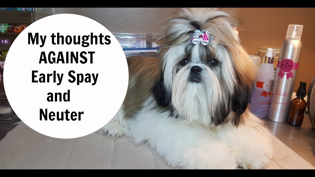 My Thoughts Against early Spay and Neuter