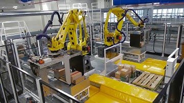 System Logistics for Ipertosano Frozen