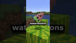 Giving Minecraft Ice An Upgrade