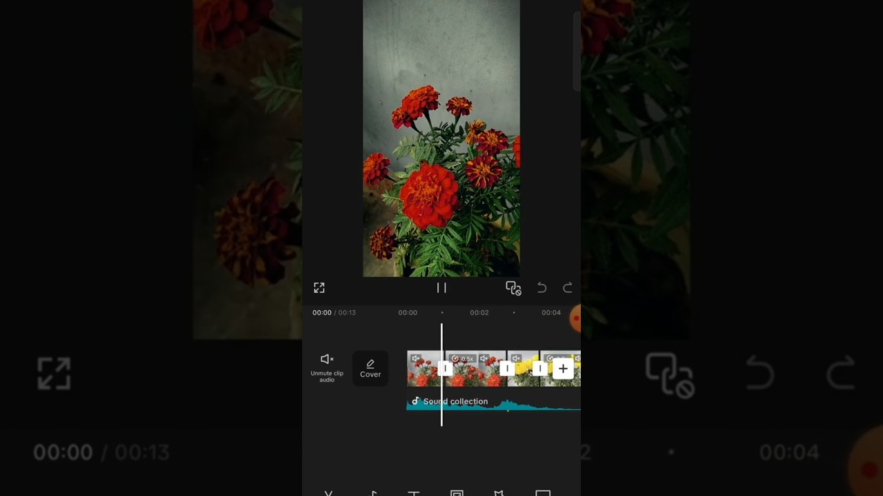 flower video editing 🥰🥀💐 