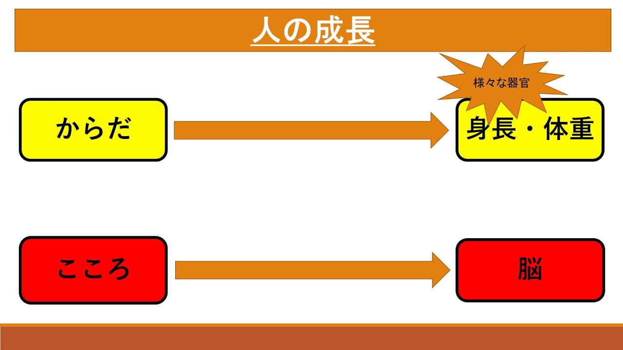 中学１年保健体育  からだの発育・発達