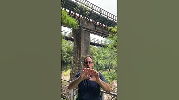 Statics: Catenary vs Traditional Beam Bridge