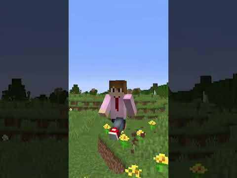 EU CRIEI A