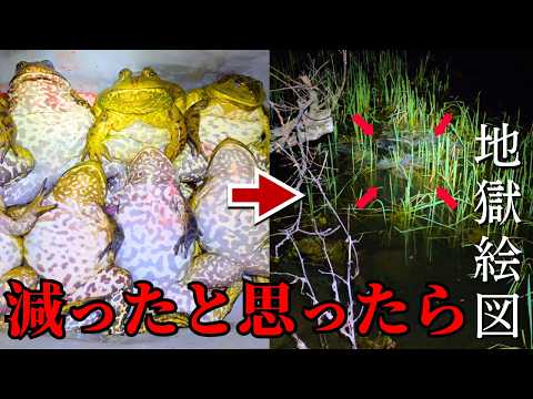 I spent 5 years eradicating bullfrogs from this pond, and just when I thought they were finally g...