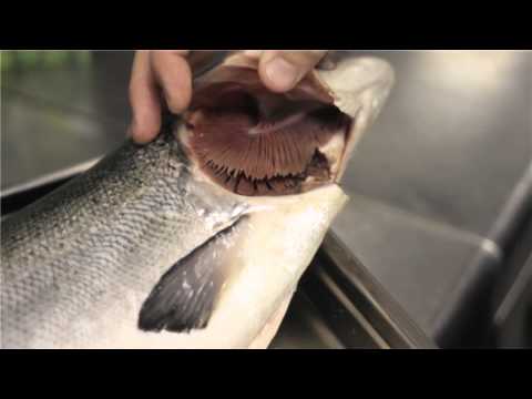 Video: How To Identify Fresh Fish