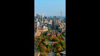 Montréal vs Toronto: how do you choose between Canada's two biggest cities?