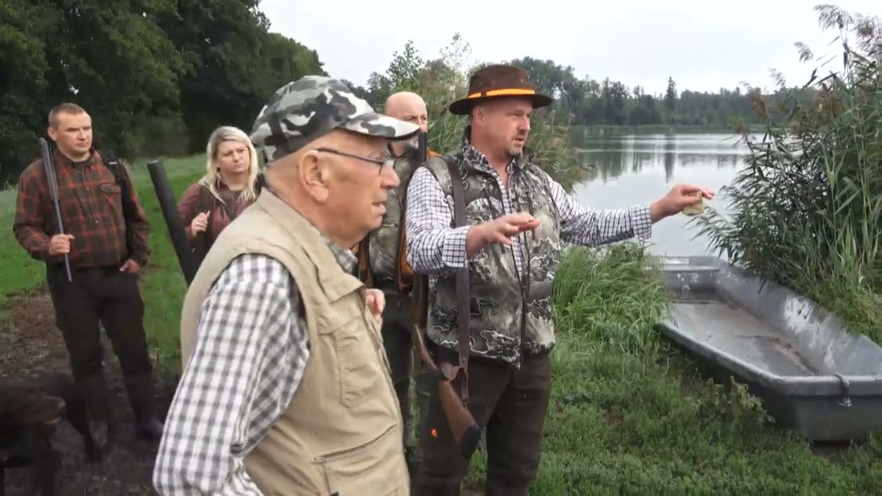 Polowanie na kaczki koło łowieckie Łoś 