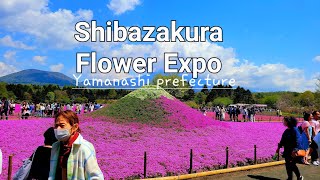A day in Yamanashi Prefecture. Flower Expo near Mt. Fuji #Shibazakura //JafUNesa