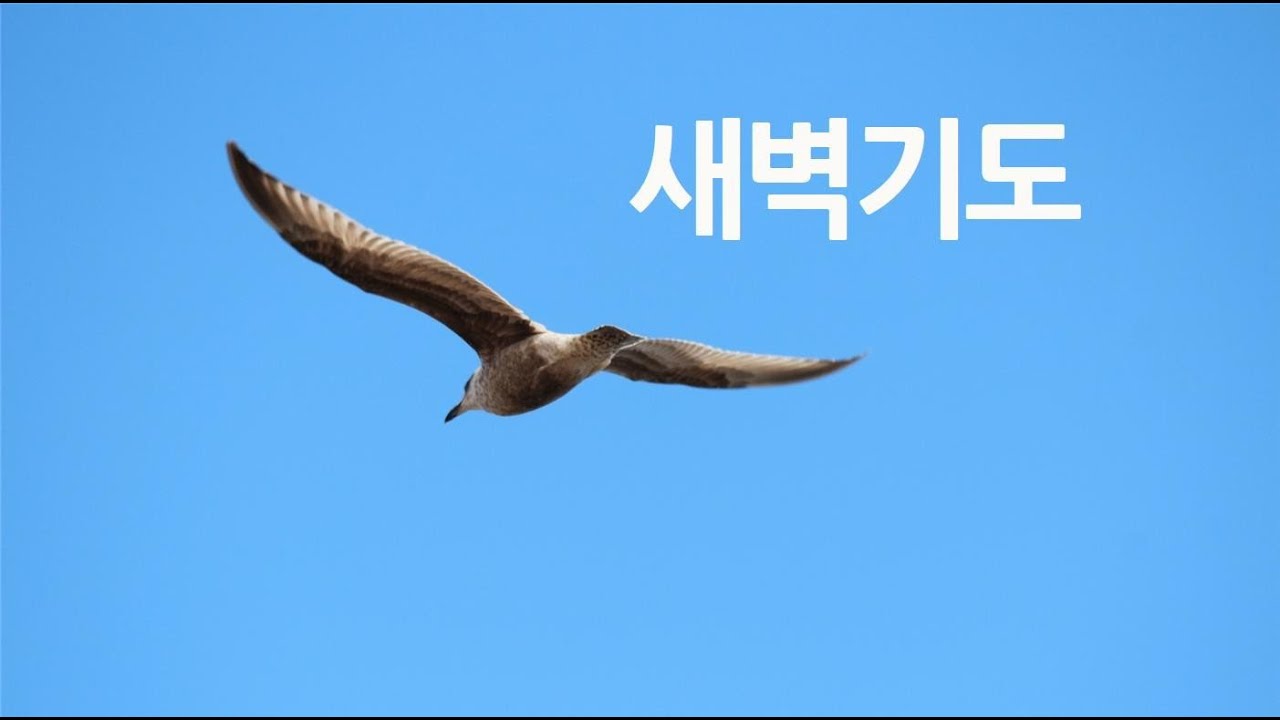 새벽기도 히브리서 강해(72)7장21-22절