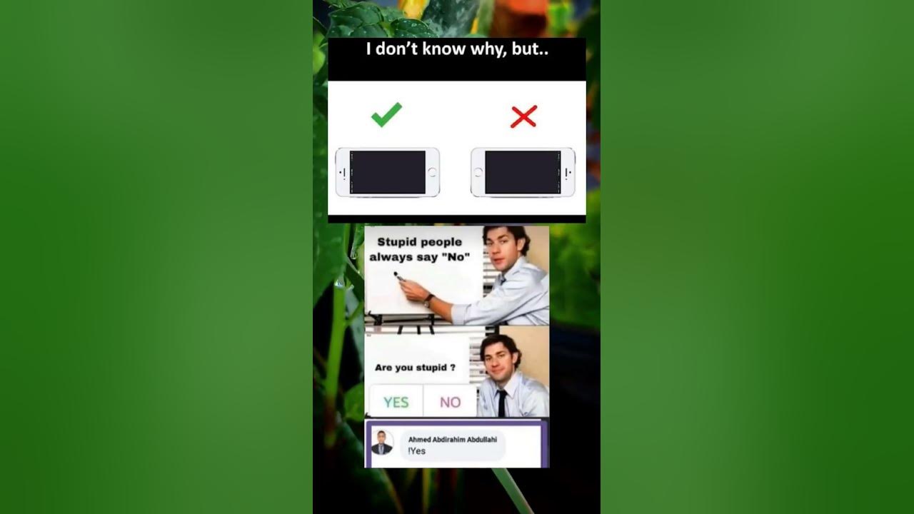 are-you-stupid-memes-youtube