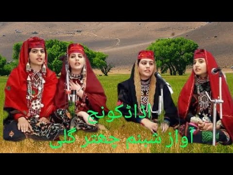 اڈاڈکونج گوجری گیت آواز شبنم چھتر گلی چینل کو سبسکرائب ضرور کریں آپ سب کی مہربانی 