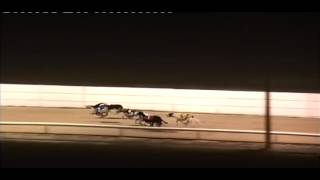 210315   Race 1