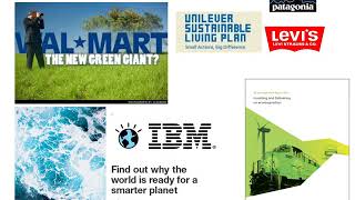 SBE 310 Full Course DEvry Latest