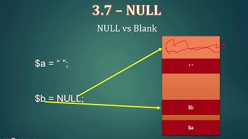 027 Null vs Blank String