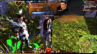 Let's Play Guild Wars 2 Pt 48: Seek Logan's Aid