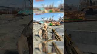 Target Practice with ferals #gaming #vr #virtualrealitygames #fallout #fallout4 #fallout4vr