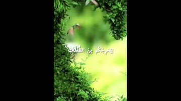 ماتيسر من سورة  الأحزاب بصوت القارئ الشيخ  / عبد العزيز  التركي  .