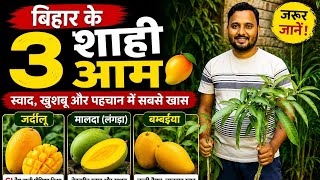 Download lagu 3 Royal Mangoes of Bihar 😍 | The Full Story of Jardalu, Langra, and Bombai | Top 3 Mango Varieties