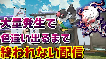 確実にマユルドに進化する色違いケムッソ Pla ポケモンレジェンズアルセウス Mp3