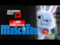 LA VIDA SECRETA DE TUS MASCOTAS | PARTE 1 y 2 | EN 13 MINUTOS