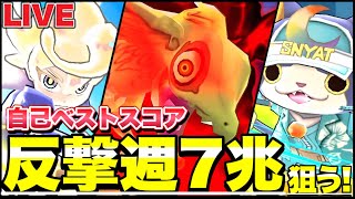 気合いの週跨ぎスコアアタック 22F目~【ぷにぷにLIVE】